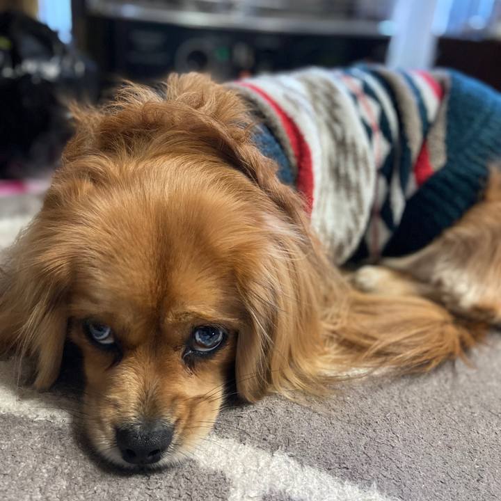 73f54233 c5e6 48c9 8695 e7a1a18ed537 1577922164778