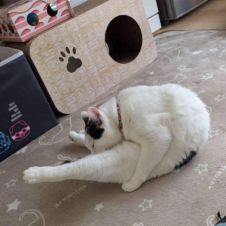 73f57507 7d63 4eaa 896b 9b50eb09507b 1739406802080