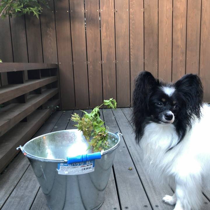 73f5810b 4d9e 417a 966b 2f98d870296c 1538345514679