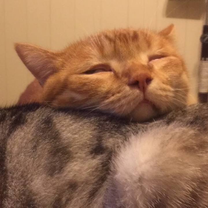 73f59146 4f90 43b8 bcb3 9c71a107d811 1547272817340