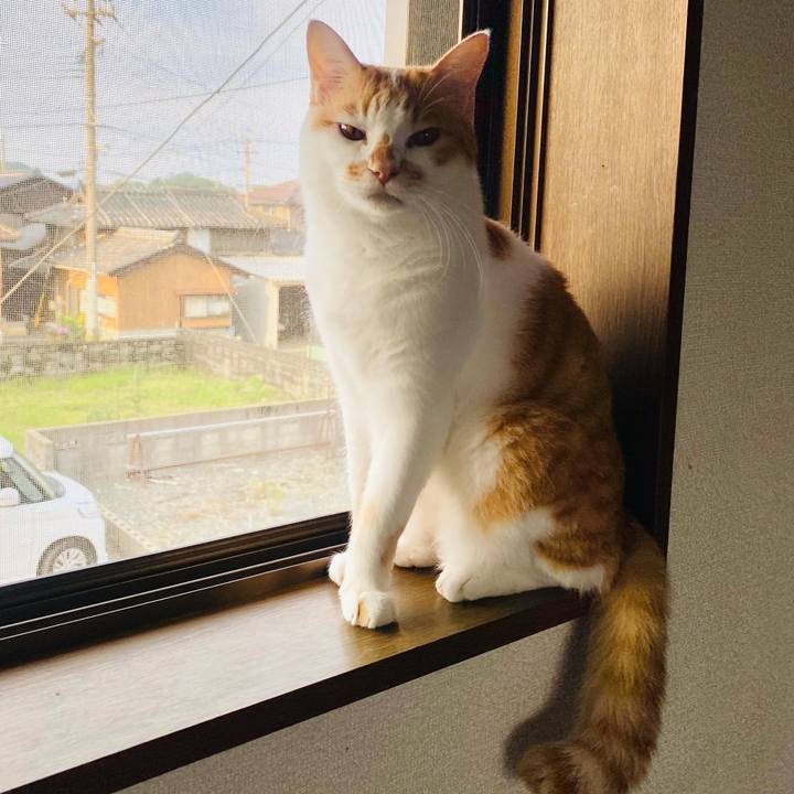 73f592a8 33b3 4c3c b208 d09d04ee86ec 1658267183570