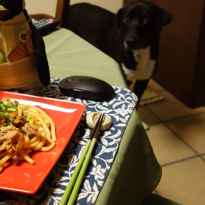 73f5999c 8493 4b84 bb42 e9abe0a3e0dd 1634429386670