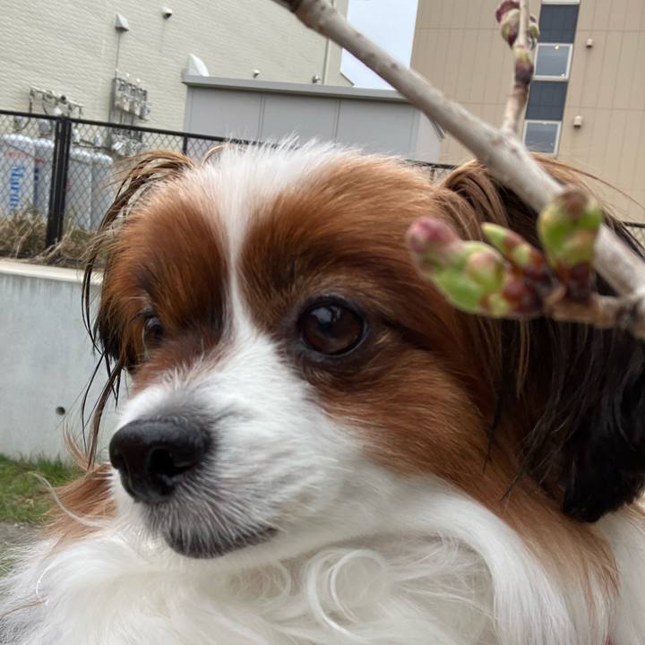 73f59c5d 440e 4c9d 8cdd 976df79ffd27 1744957140070