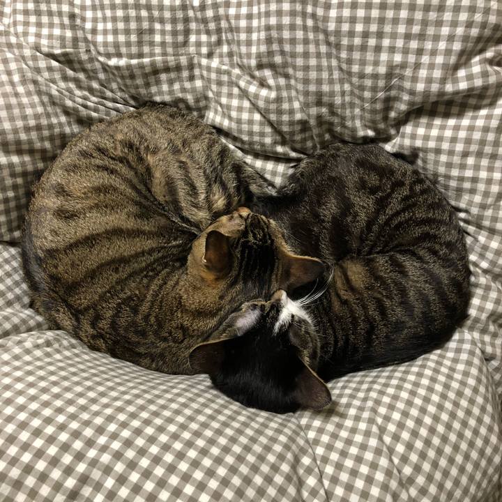 73f5b65d 0a31 4bbc 934c 4172f838569d 1514728939838