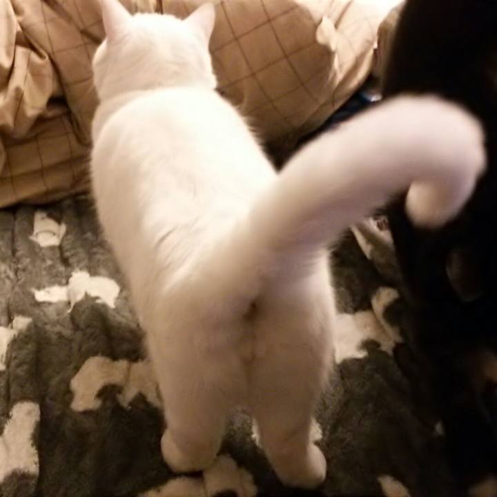 73f5dd15 5da6 4485 b42b 1d2e7aeed9fc 1518649803511