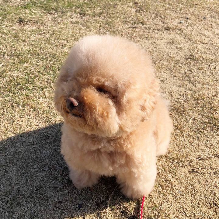 73f5e293 74ec 4b58 84d1 ece888090ce3 1510794776431