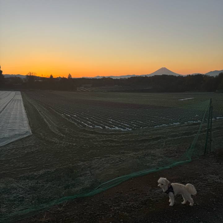 73f5f13c ad96 4c09 8d65 68cd765281d0 1763955577364