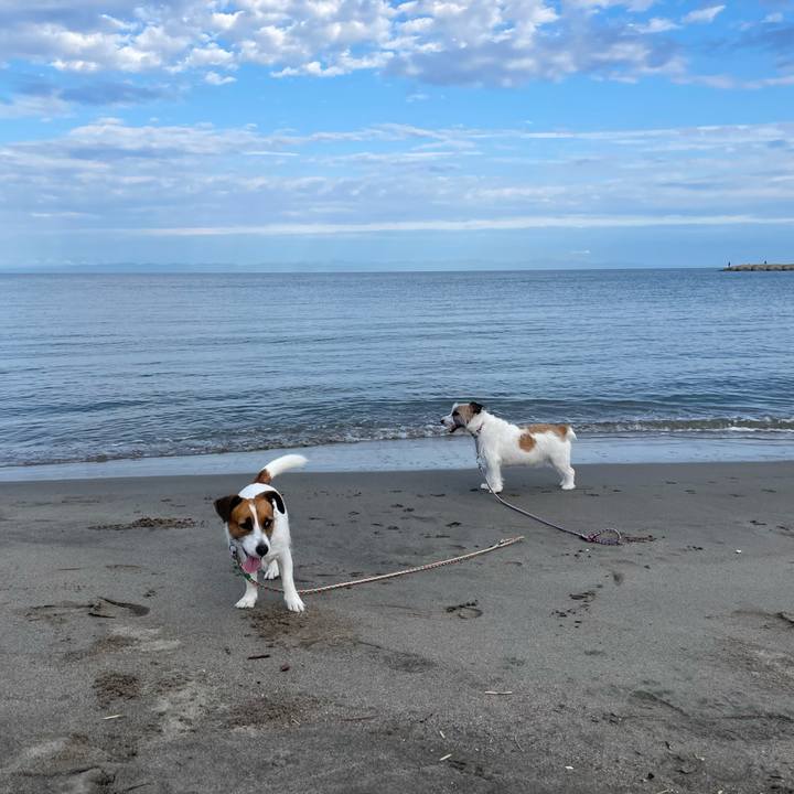 73f5f43c 840a 4cfd af33 58ef845d8cc0 1661554921907