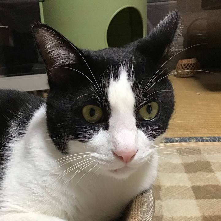 73f60266 ea9b 479c 90aa de04abc2ad70 1729844034050