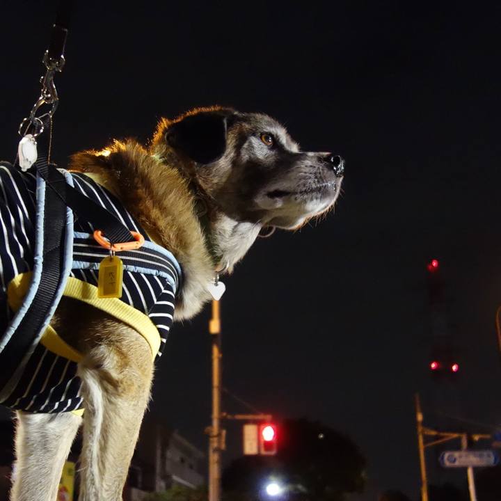 73f62292 29b8 4730 afd5 d05916a13a1e 1571582250551