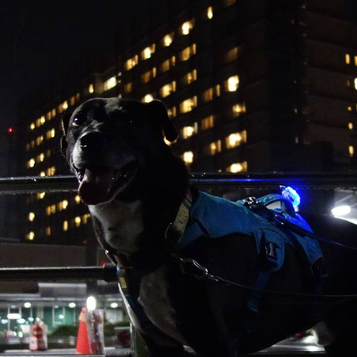 73f6771c 4500 4c3a 83e5 2d9e641e0ad8 1725361514958