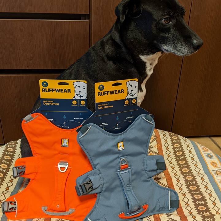 73f6a366 ccd2 4e37 ad5b 9a547479bc20 1703754675970