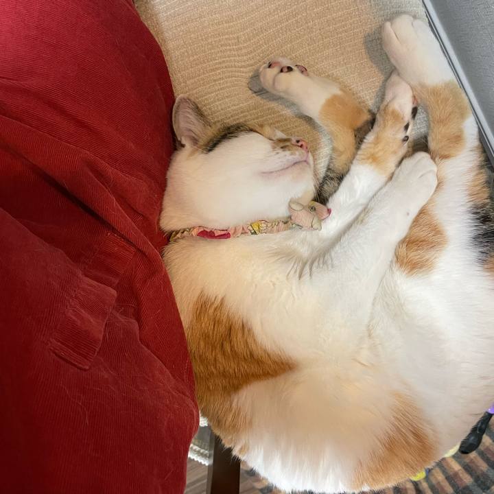 73f6ad6e d229 48e1 b48d 0211cd2ea4e2 1648978932812