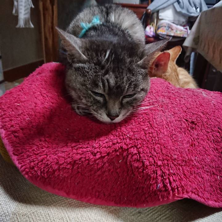 73f6c43a 9ad6 4c6a 9555 8c54415dee51 1555622095640