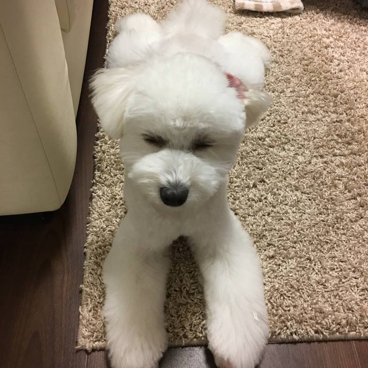 73f6cd27 25e3 4999 a02d 7f231f2d48ef 1512637355390