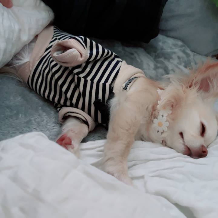 73f6d1c5 92b6 481d 90c7 e05ca8bc6164 1712471135954