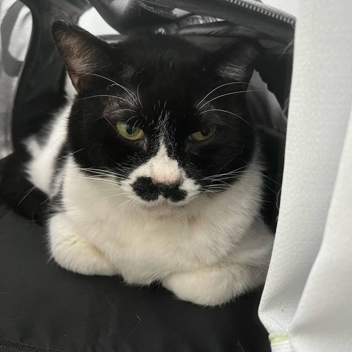 73f6dbf8 f816 468b 8b2f 379c35ff251f 1712188921994