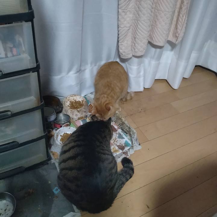 73f6df0c 3dcb 496b 995a b90c508ec957 1676586305500