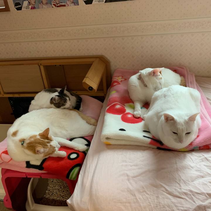 73f72f04 5561 423e b438 ef53c4dc3246 1569049747366