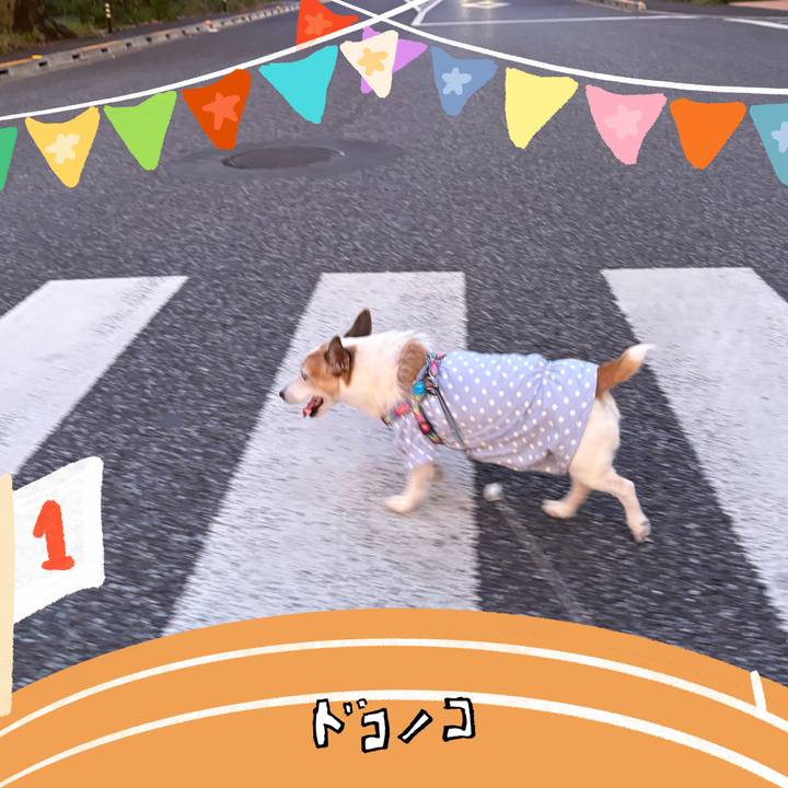 73f74221 5e4d 4eb1 95ec 5b95cc85e5c1 1761261152475