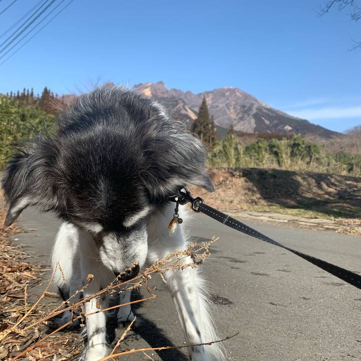 73f74b6f 999f 48cb 84b0 66c96a3e28d4 1676181851456