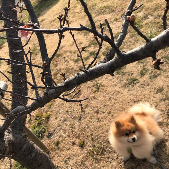 73f78327 0d82 4cbd 95fb 48768fd057b8 1548469927481