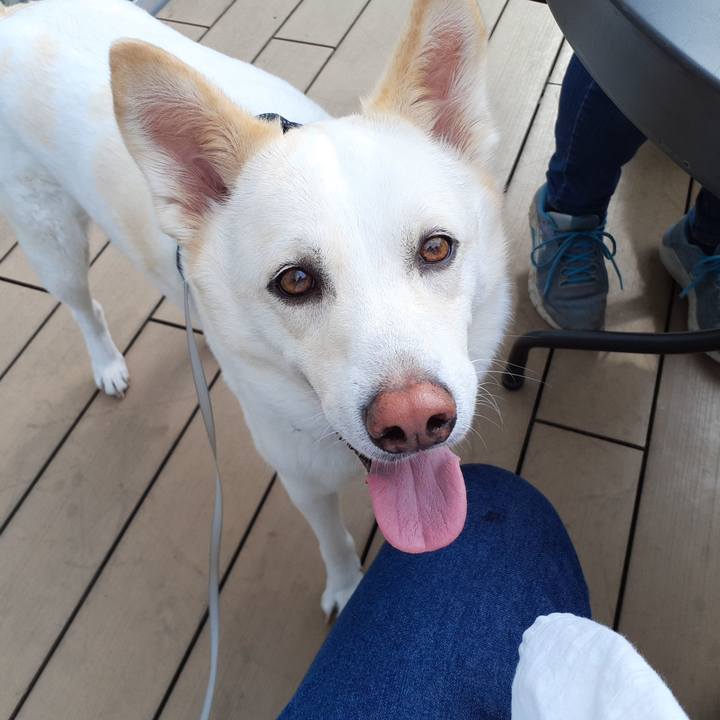 73f7ae42 5d2d 4d0b 94d0 9c79d267fe40 1653414500495