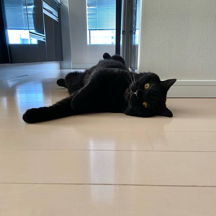 73f7b09a 7c9f 4d2d 82fb 27a7ab154e5f 1715930800775