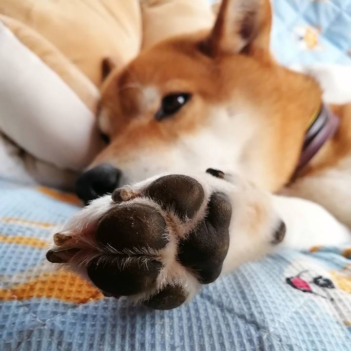 73f7b9a7 817e 42cb 8408 c27c13bfb7bf 1620451077094