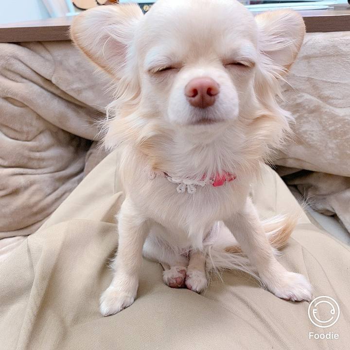 73f7cc20 7702 4c92 892d 22c8633b3002 1615873534413