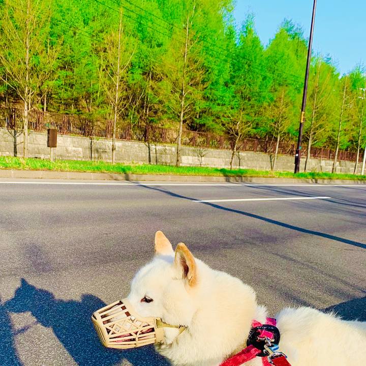 73f7e456 86c6 4e09 bc94 e649f27f8649 1588977861567