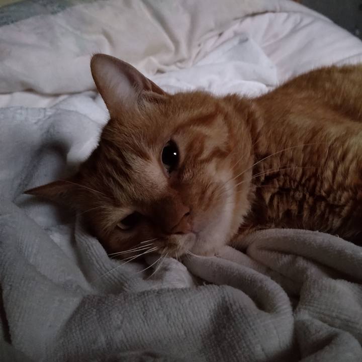 73f7e9e7 61a6 48ab 937d 4619471104db 1722463624846