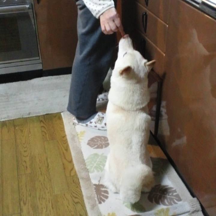 73f7f1b4 62f7 400c 9a37 0b0addb83778 1656936277026