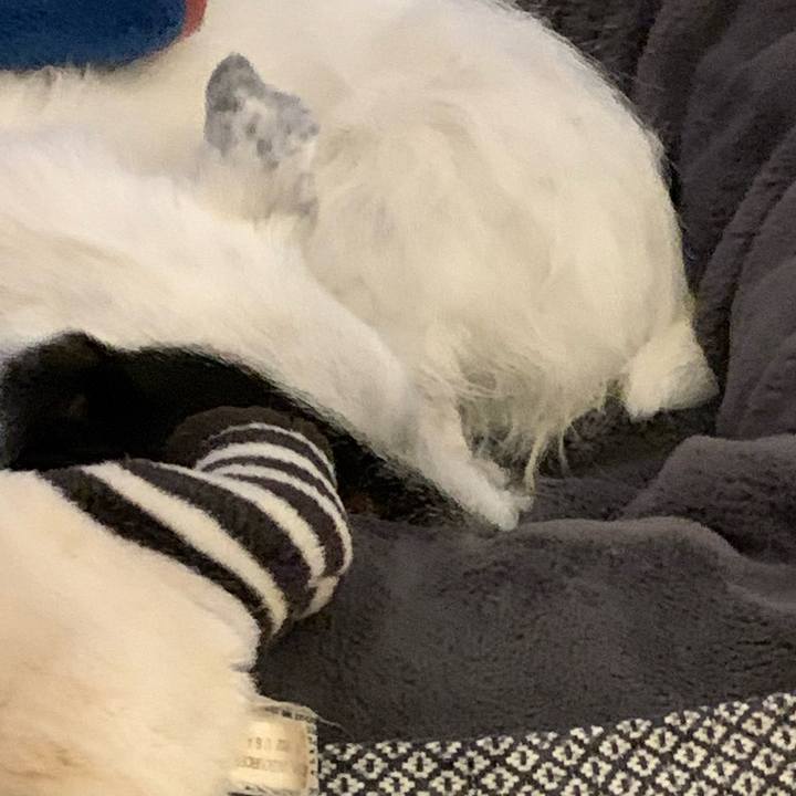 73f8116d 7672 4357 90ef 2bce5293f623 1716026284178