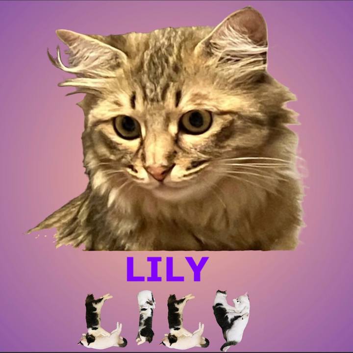 73f81f65 475e 42ac b612 ca33f22ec051 1667778679400