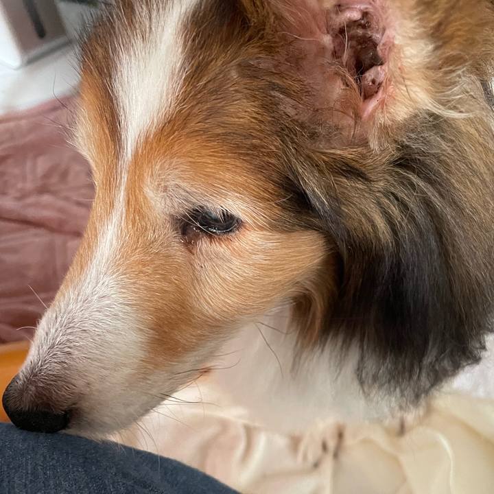 73f8574b 24fe 4794 8fe8 71737cb9b51e 1658306555568