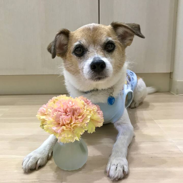 73f8a4e8 8f28 411a b731 67b5573aa80e 1623993303131