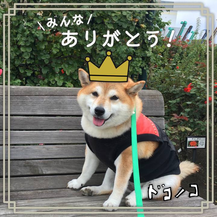 73f8b010 5e93 42b1 b7f4 dbdd05f3b280 1622852849943