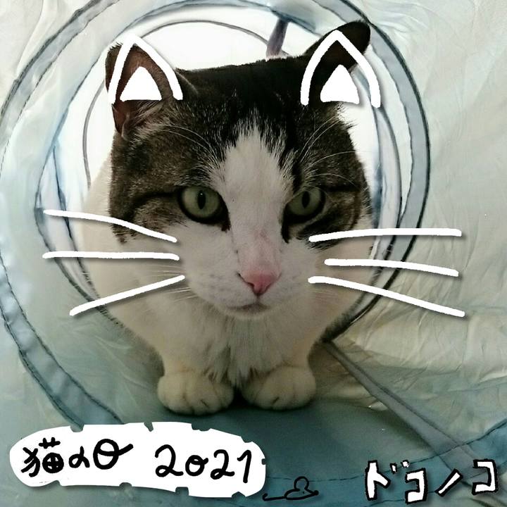 73f8cff1 2494 4caf b7d0 cd136b57681c 1613966288751