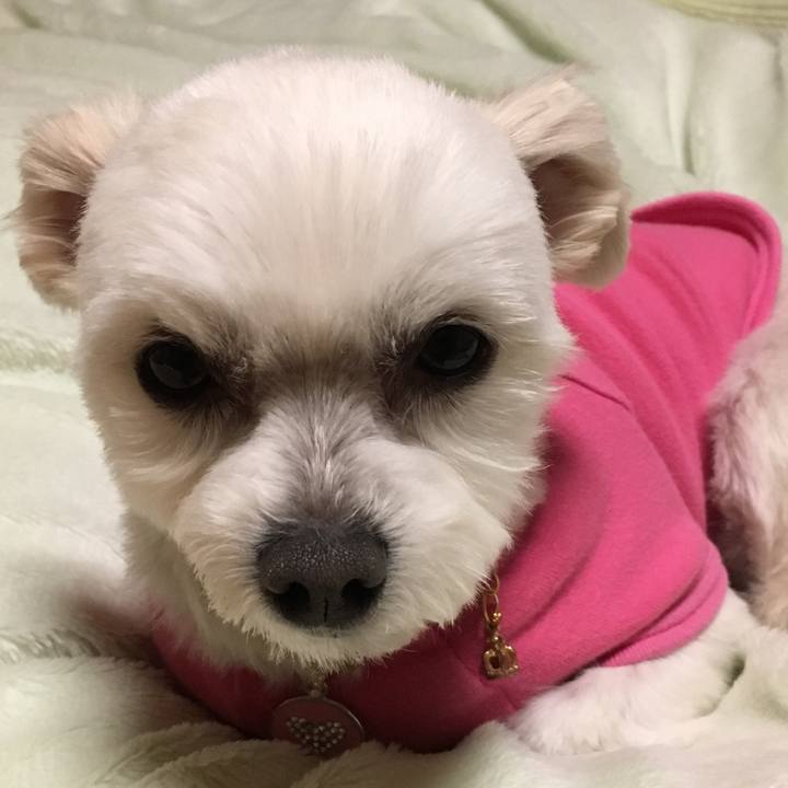 73f8dda2 2e55 4137 9e5d 8363d07ffefd 1520330433043