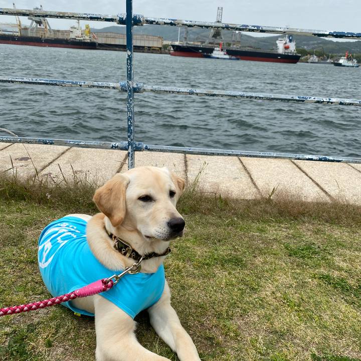 73f8fa72 adea 4dcc a67b ed417f767ec8 1620636691937