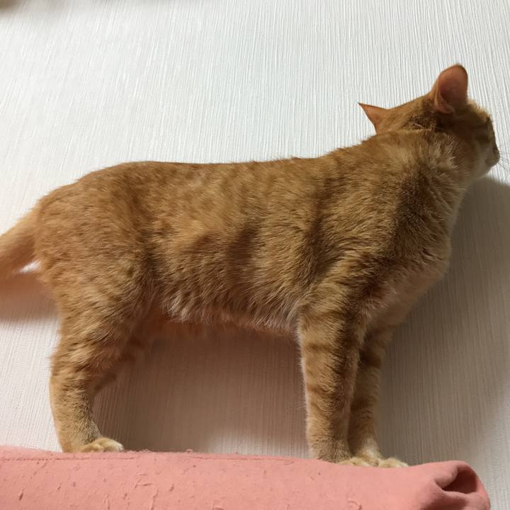 73f90a20 df43 4dc9 ae8b 3a3cd678bd50 1520611896657