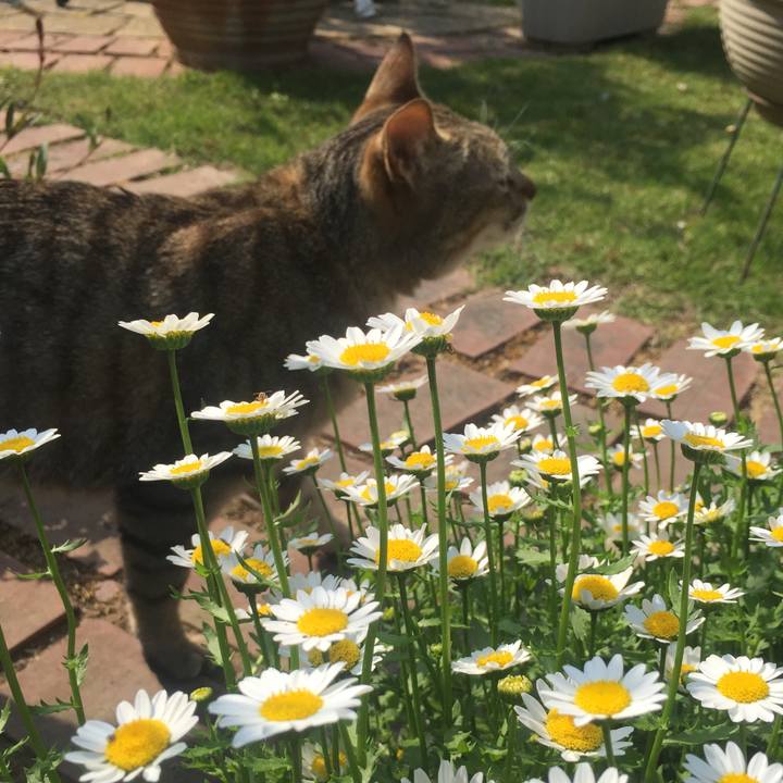 73f9123d ab9a 4c9f 9c5f 0996ab83f575 1557641884471