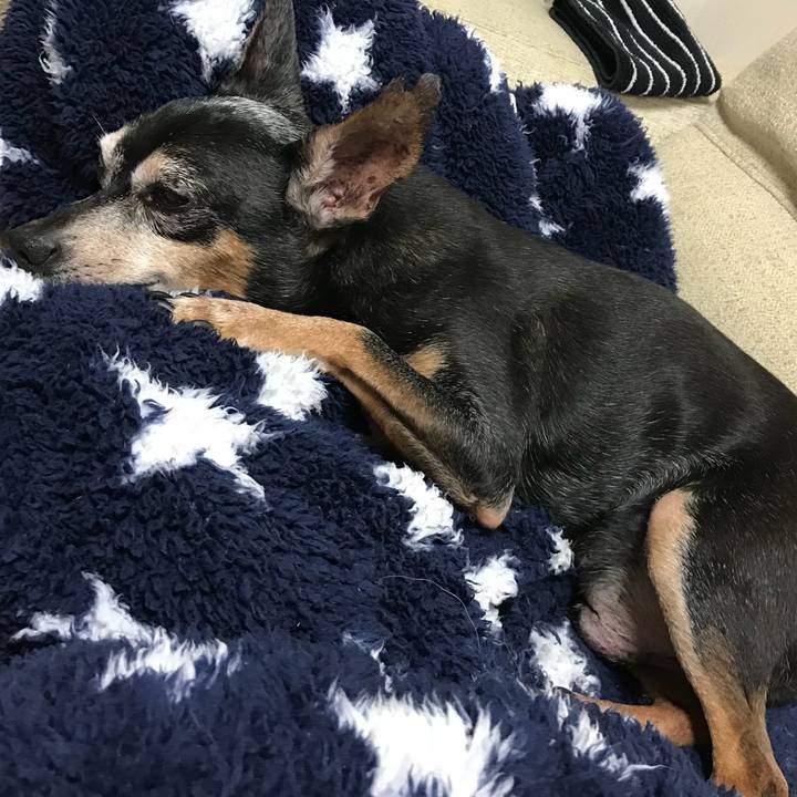 73f91aa1 b3f2 4af7 a66c 11da92d2a3bc 1569753909331