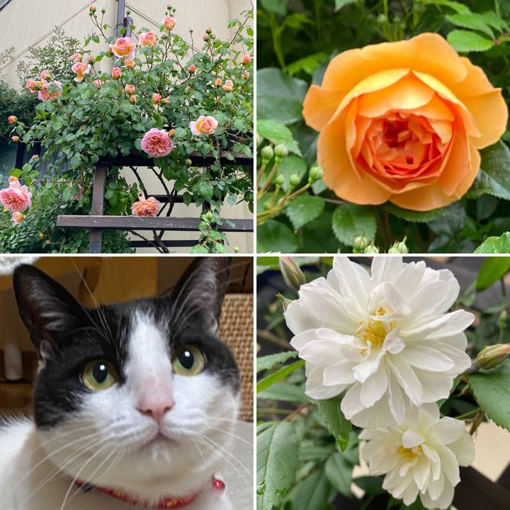 73f9c24d 6f51 4fed 8dac 0d86d1d8971a 1621583668092