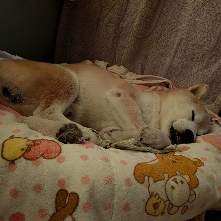 73f9ce4e eb18 40ac a6a0 e27c8490c538 1774011023236