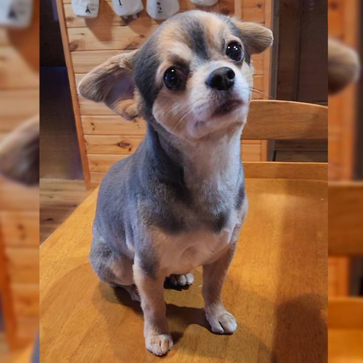 73f9e64c 7977 4124 8eb9 8dd8a3557c4a 1753891246212