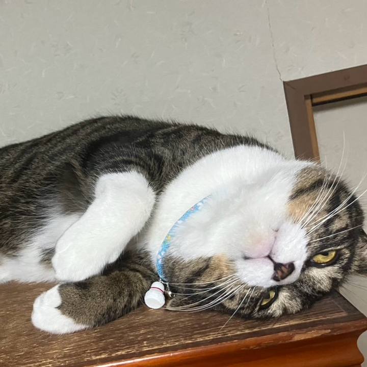 73fa0237 9b80 4029 8ea0 ba8d95d2f8da 1764545115415