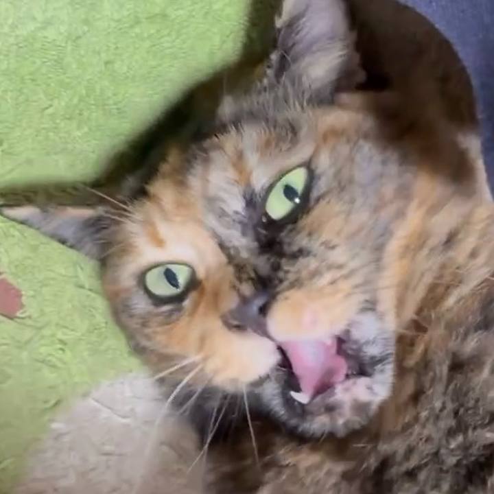 73fa03a4 0a1f 4778 88c8 1d463b4c5ef8 1765399452977