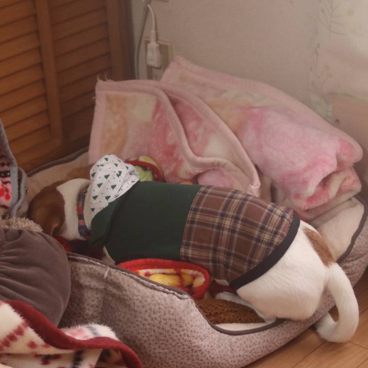 73fa6b71 8b29 4d54 ba8a 233a9d1bf891 1512525132038